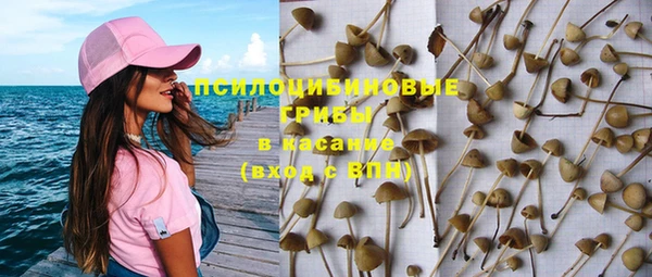 прущая мука Верея