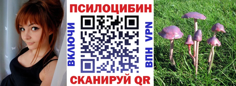 Купить закладки Кунгур Псилоцибиновые грибы прущие грибы